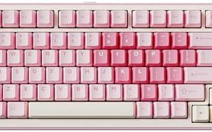YUNZII B75 PRO Wireless Mechanical Keyboard,75% Layout with Knob,Hot Swap Gasket Custom Structure,Creamy Pre-lubed Switches,RGB Backlit,Bluetooth/Type-C/2.4G for Win/Mac(Milk Switch,Pink)